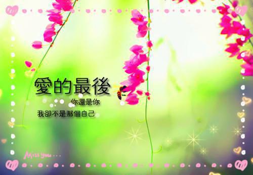 陆谦南芷小说热文（南芷陆谦后续）在线免费阅读无弹窗_陆谦南芷最新章节阅读全文（南芷陆谦后续）