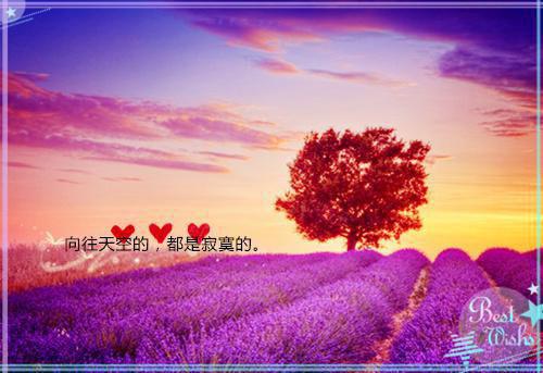 程仲野姜韵（程仲野姜韵的小说）全文免费阅读无弹窗大结局_程仲野姜韵列表（程仲野姜韵的小说）