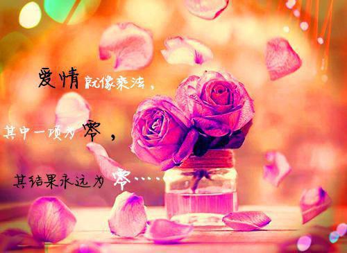 【荐】环保倡议书10篇