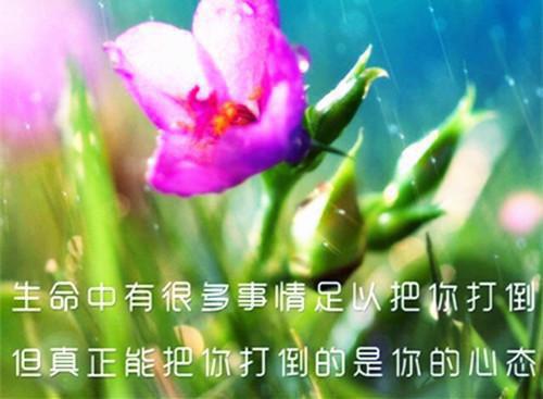 开局被偷？她一怒之下冒出心声阅读_开局被偷？她一怒之下冒出心声言情小说全文阅读