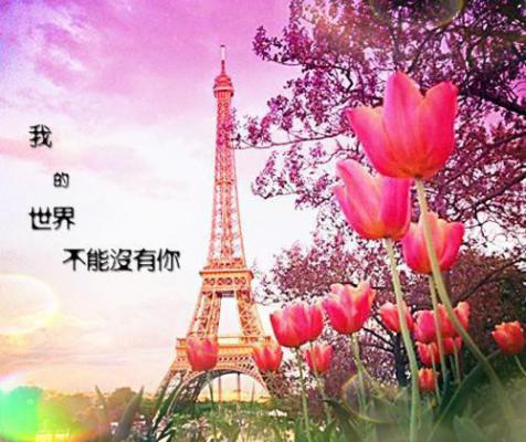 秦楠徐薇小说完结版免费阅读 开局解约：他在综艺现场作词作曲最新章节无弹窗