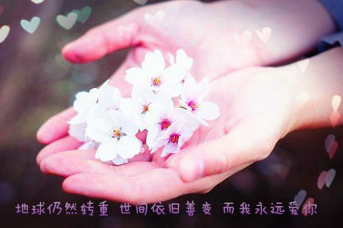 小说离婚后，闪婚京圈大佬第3章免费阅读