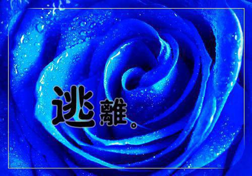 祁宛谢凝行（祁宛谢凝行）全文免费阅读无弹窗大结局_祁宛谢凝行最新章节列表（祁宛谢凝行）