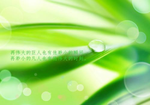 宋京墨南星（南星宋京墨免费）全文免费阅读无弹窗大结局_(南星宋京墨免费全文免费阅读大结局)最新章节列表（宋京墨南星）