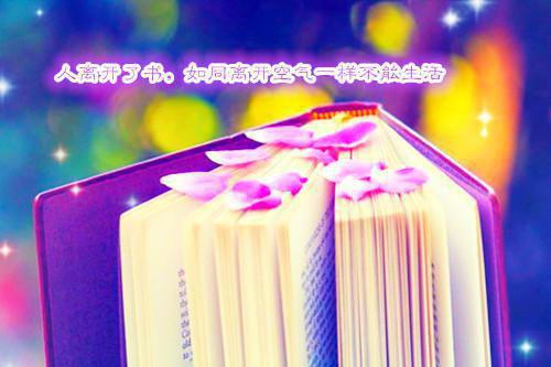 喻瑶容野完结（容野喻瑶）完整全文在线阅读_喻瑶容野完结免费阅读全章节目录（容野喻瑶）