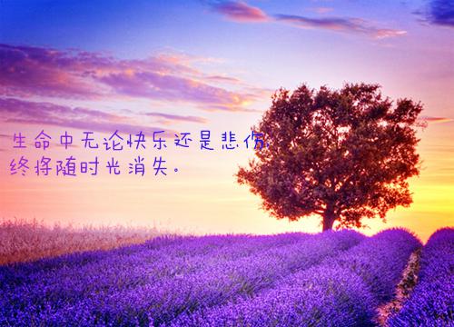 斯聿寒唐微微（斯聿寒唐微微）全文免费阅读_斯聿寒唐微微（斯聿寒唐微微）免费在线阅读
