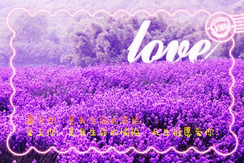 桑染岑津南全文免费阅读(桑染岑津南)全文免费阅读无弹窗大结局_桑染岑津南全文免费阅读最新章节列表(桑染岑津南)