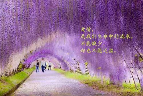 小学一分钟英文自我介绍