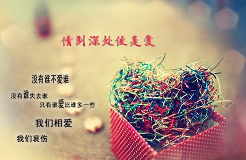 小说替嫁新婚夜，瘸腿总裁站起来了！主角为叶闻音墨靳沉免费阅读
