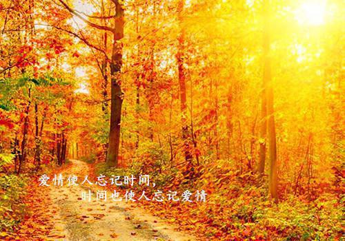 与你一世刻骨铭心小说穆晚柠沈爱国宋澄毅在线阅读
