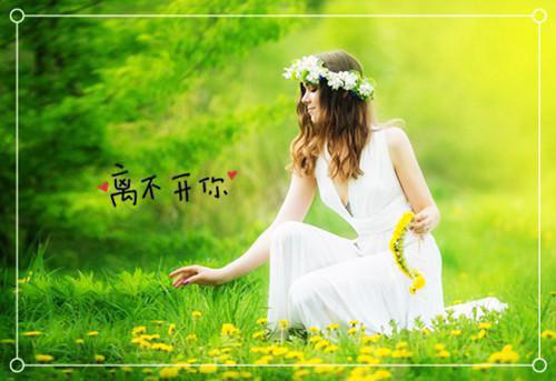 程青雪顾行深(程青雪顾行深)全文免费阅读无弹窗_程青雪顾行深最新小说(程青雪顾行深)