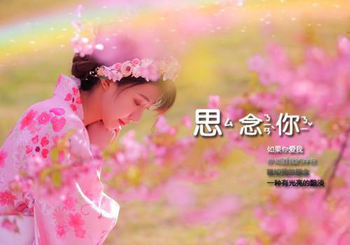 孟时秦琴（放下助人情节，尊重他人命运）全文免费阅读无弹窗大结局_孟时秦琴列表（放下助人情节，尊重他人命运）