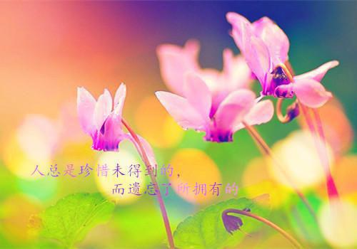 中考语文复习《木兰诗》