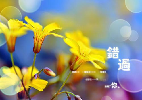 陆清棠裴晏珩后续（裴晏珩陆清棠）全文最新免费阅读无弹窗_陆清棠裴晏珩精选章节小说阅读（裴晏珩陆清棠）