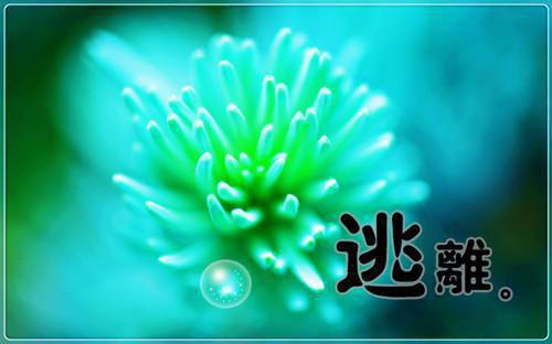 林凡苏倾城小说离婚后，神豪身份曝光了小说全文(林凡苏倾城小说离婚后，神豪身份曝光了)免费阅读全文无弹窗大结局_ 林凡苏倾城小说离婚后，神豪身份曝光了免费阅读无弹窗小说（林凡苏倾城小说离婚后，神豪身份曝光了）