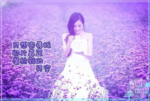 江席沈媛全文免费阅读(江席沈媛小说)全文免费阅读无弹窗大结局_(江席沈媛全文免费阅读无弹窗)江席沈媛小说最新章节列表(江席沈媛)