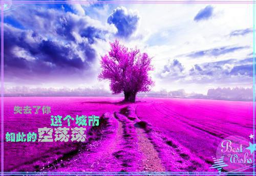白思思程仞（白思思程仞）全文免费阅读无弹窗大结局_白思思程仞最新章节列表（白思思程仞）