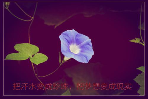 放弃孩子后,我的精神病日渐好转小说全文免费阅读（女儿儿子）全文免费女儿儿子读无弹窗大结局_(女儿儿子)放弃孩子后,我的精神病日渐好转小说免费女儿儿子读无弹窗最新章节列表（女儿儿子）