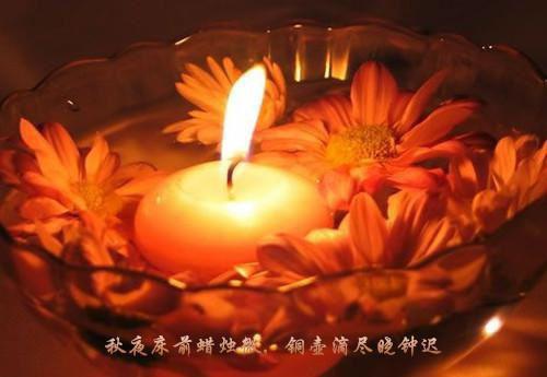 沈怡邵缙全文免费（邵缙沈怡）完整全文在线阅读_沈怡邵缙全文免费免费阅读全章节目录（邵缙沈怡）