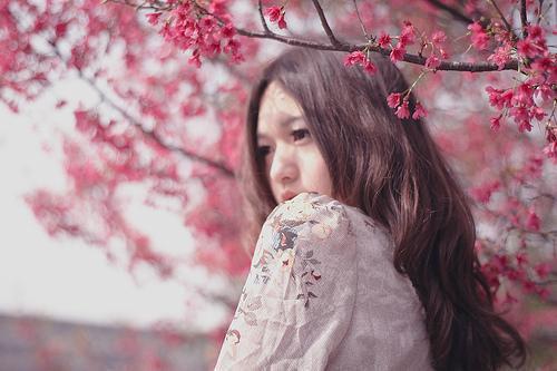兰芷宁贺祁全文(兰芷宁贺祁小说)小说免费阅读无弹窗大结局_兰芷宁贺祁小说全文无弹窗完整版阅读