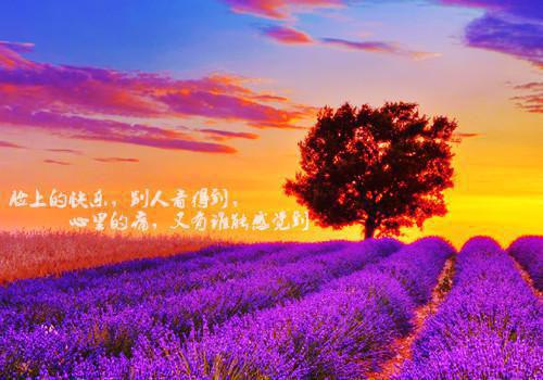 小说楚璃闻屿第3章精选阅读