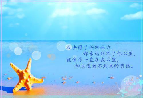 苏清岚霍翼然(苏清岚霍翼然)精彩美文-苏清岚霍翼然免费阅读