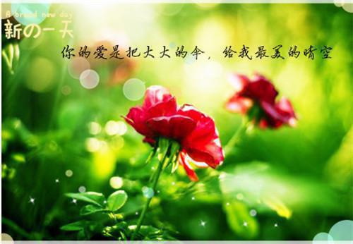 叶羽星靳明晏(叶羽星靳明晏)全文免费阅读无弹窗大结局_(叶羽星靳明晏小说阅读)叶羽星靳明晏小说列表（叶羽星靳明晏）