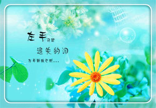 蓝夏陆弋铭（陆弋铭蓝夏）全文免费阅读无弹窗大结局_蓝夏陆弋铭最新章节列表