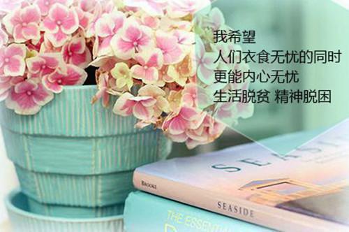 段姝意齐淮锦（段姝意齐淮锦）是什么小说-段姝意齐淮锦小说全文阅读