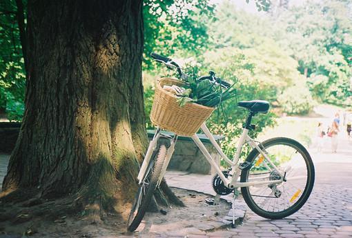 攻略成功后，我速速踹了他，什么浪子回头，我才不信免费无弹窗 林霜桑暮景小说阅读