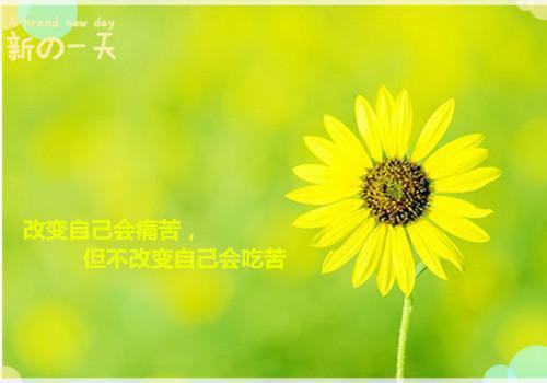 （裴寂林宛如：被丞相送往敌国后免费阅读）全文免费阅读无弹窗大结局_（裴寂林宛如：被丞相送往敌国后免费阅读）裴寂林宛如：被丞相送往敌国后免费阅读最新章节列表（裴寂林宛如：被丞相送往敌国后免费阅读）