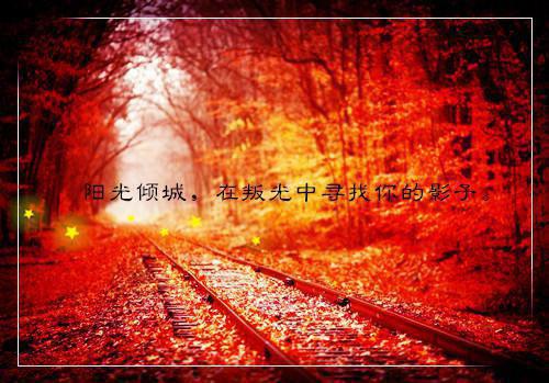 程十凰徐泽瑜完结（徐泽瑜程十凰）全文免费阅读无弹窗大结局_程十凰徐泽瑜完结最新章节列表（徐泽瑜程十凰）