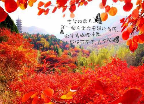 幼儿园最感动毕业诗歌（通用8首）