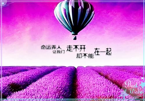 感恩母校的诗词