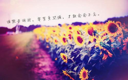 全网热搜小说(偷命曲线)的小说主角是(凤娥于嫂)偷命曲线全文免费阅读最新章节列表