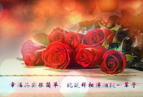 洛凝凝薄临北小说（薄临北洛凝凝）完结阅读无弹窗大结局_洛凝凝薄临北小说免费阅读最新章节列表（薄临北洛凝凝）