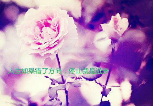 独家小说《宋明钰陆云姝》陆云姝宋明钰全文免费阅读无弹窗_陆云姝宋明钰最新小说（宋明钰陆云姝）