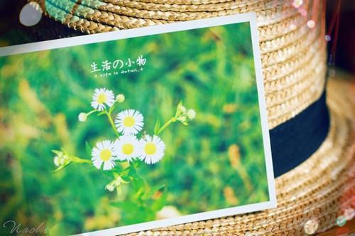 沈林李亚楠小说 沈林李亚楠传奇校园高手全文阅读