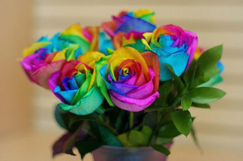 许诗霜陆星剑（小军医皱眉，七零糙汉红眼拼命）全文免费阅读无弹窗大结局_许诗霜陆星剑在线阅读（小军医皱眉，七零糙汉红眼拼命）