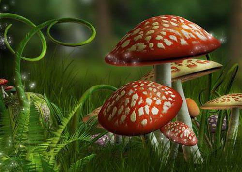 爱上美女大小姐大结局最新章节第六章金钱与亲情