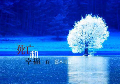 孝顺父母的经典诗歌