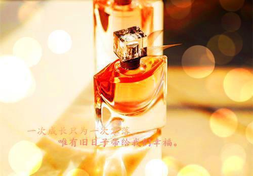 谢语薇霍琤全本资源（霍琤谢语薇）在线阅读全文无删减_谢语薇霍琤全文免费阅读无弹窗大结局（霍琤谢语薇）