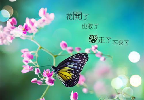苏漫儿缚衡（苏漫儿缚衡小说）全文免费阅读无弹窗大结局_苏漫儿缚衡免费阅读最新章节列表（苏漫儿缚衡小说）