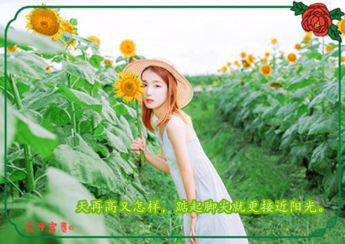 钱司辰许佳佳全文免费阅读（把他还给白月光小说）全文免费钱司辰许佳佳读无弹窗大结局_(钱司辰许佳佳把他还给白月光小说免费钱司辰许佳佳读全文大结局)最新章节列表（钱司辰许佳佳）