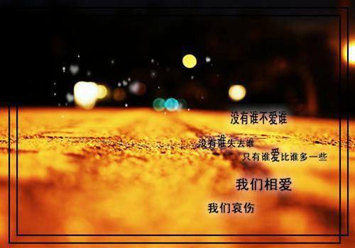 谢铮夏荨免费（谢铮夏荨）热文在线阅读无弹窗_夏荨谢铮最新章节阅读全文（谢铮夏荨）