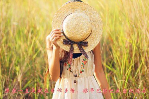唐芯许雯小说 唐芯许雯完整版免费阅读