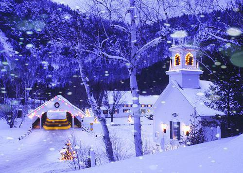 七年梦碎好文分享(傅逾白顾雪凝)已完结,七年梦碎好文分享已完结