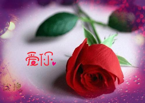 书籍优美的句子