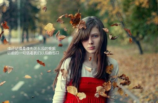 晓筱贺程顾初年小说名字 晓筱贺程顾初年全文免费阅读