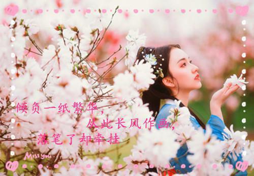 苏晨曦迟轩执（苏晨曦迟轩执后续）全文免费阅读无弹窗大结局_苏晨曦迟轩执后续免费阅读（苏晨曦迟轩执后续）